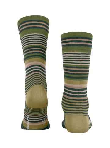 Burlington Socken Stripe in Forest