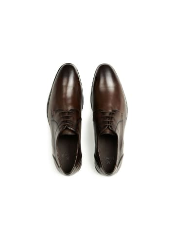 LLOYD CORE 111 CORE 111 in moro