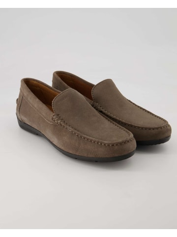 Geox Loafer in Grau