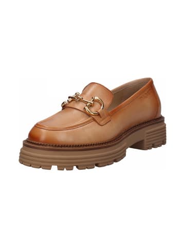 TT. BAGATT Loafers in braun