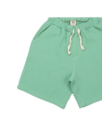 Walkiddy Shorts Raspberries - Shorts