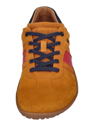 KOEL Sneaker Low ILA SUEDE 3.0  in natur