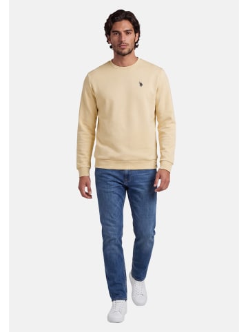U.S. Polo Assn. Pullover USJaxxon – Herren Sweatshirt mit Rundhalsausschnitt in Creme