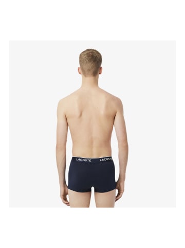 Lacoste Wäsche Navy/Grün