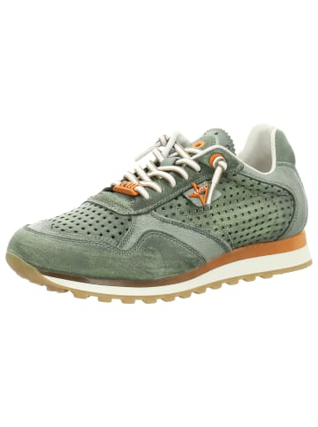 Cetti Sneaker in dunkelgrün