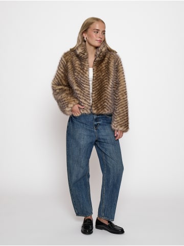 Peppercorn Jacket in Fossil Brown