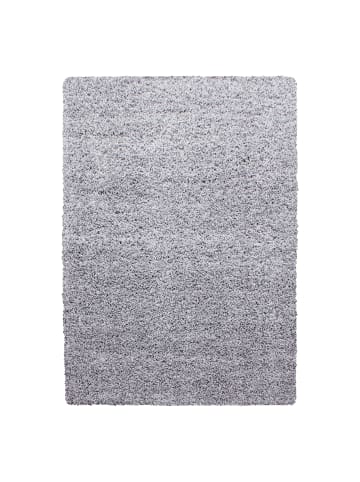 KADIMA DESIGN Teppich Hochflor Unifarben Polypropylen Wohnzimmer Shaggy in Hellgrau