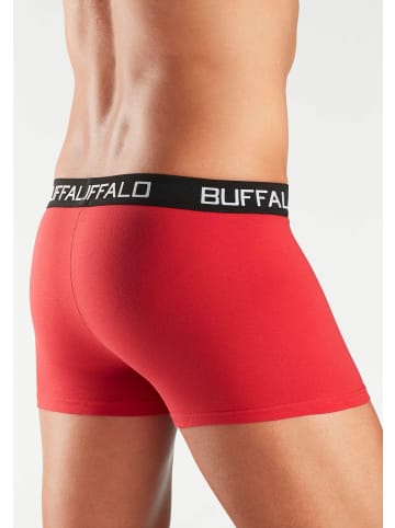 Buffalo Boxer in rot, gelb, blau, lila