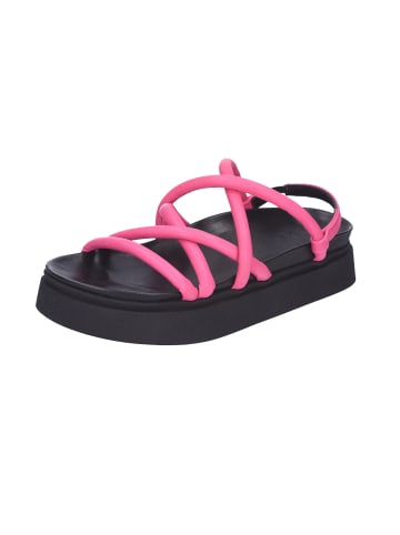 Apple of Eden Sandale in fuchsia