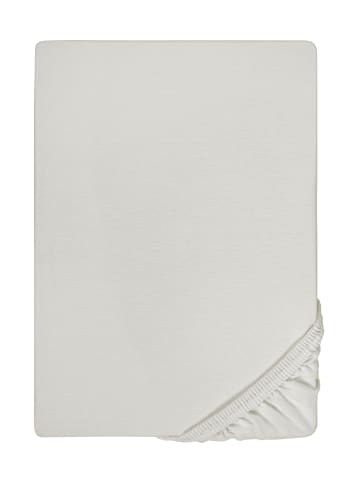 Biberna Spannbetttuch Feinjersey in grau