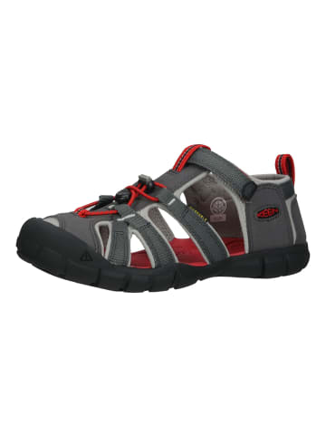 Keen Wanderschuhe in Grau/Rot