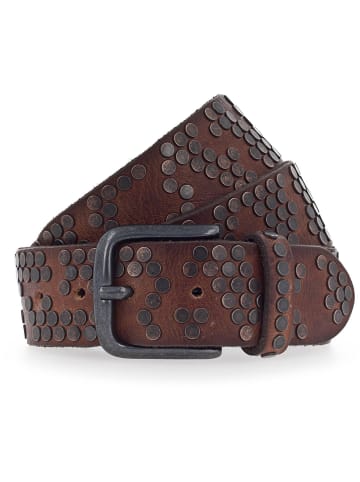 b.belt Nietengürtel Leder in braun