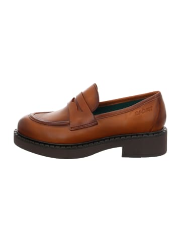 TT. BAGATT Business Slipper in Braun