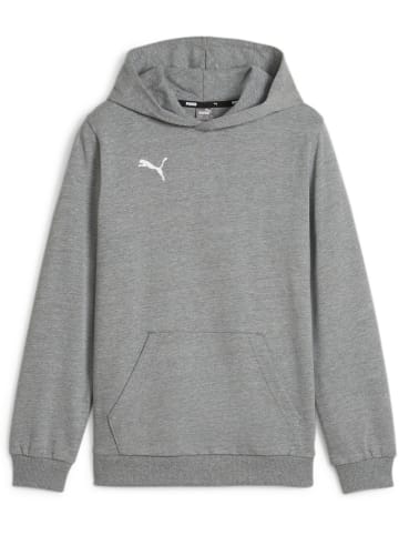 Puma Hoodie "TeamGoal CasuaLongsleeve Hoody Jr" in Grau