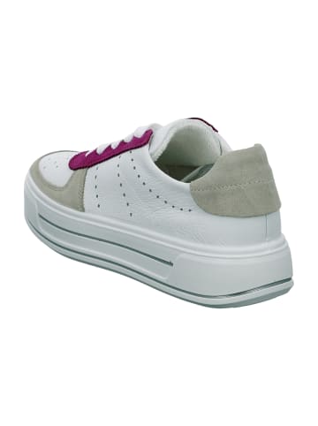 ara Plateau Schnürschuhe in Weiß