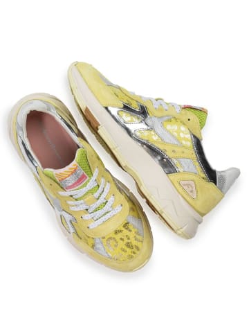 Floris van Bommel Sneaker in beige