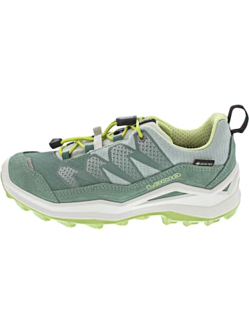 LOWA Maddox Pro GTX Lo Jr Wanderschuh Grün