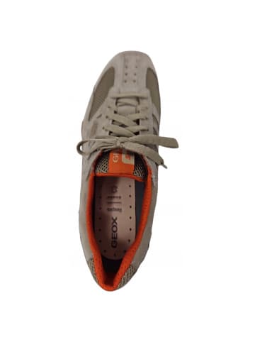 Geox sportlicher Schnürer Snake in Beige