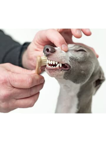 Redecker Holzzahnbürste groß in Hellbraun