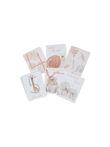 leevje Meilensteinkarten Mein erstes Jahr' in multicolored