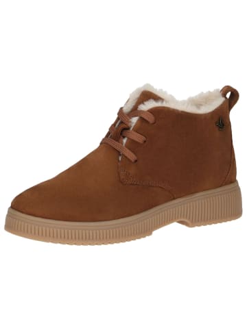 Caprice Stiefelette in COGNAC SUEDE