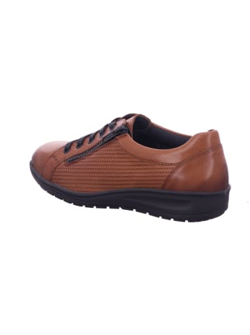 Solidus Sneaker in braun