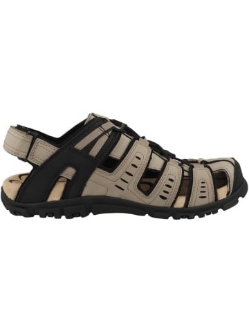 Geox Sandale U Sandal Strada C in beige