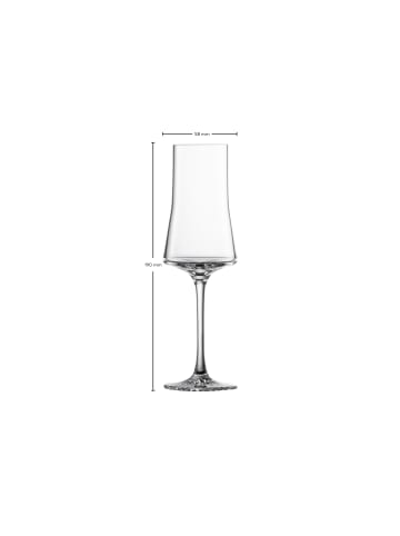 Zwiesel Glas 4er Set Grappagläser ECHO 147 ml in transparent