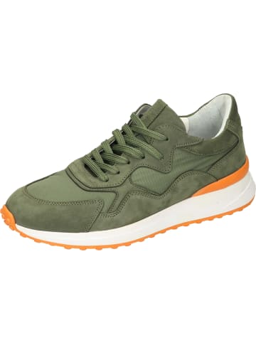 manitu Schnürschuhe in khaki