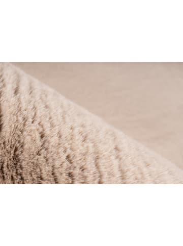 Vivorum Vivorum Neu 2026 Wohnzimmer Hochflor Teppich Subb 125 beige in beige