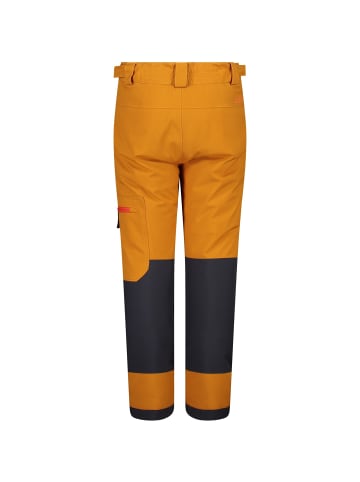 cmp Outdoorhose in ZUCCA