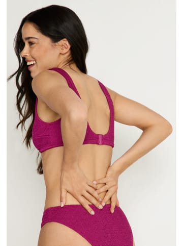 LSCN BY LASCANA Triangel-Bikini-Top in dunkle Beere