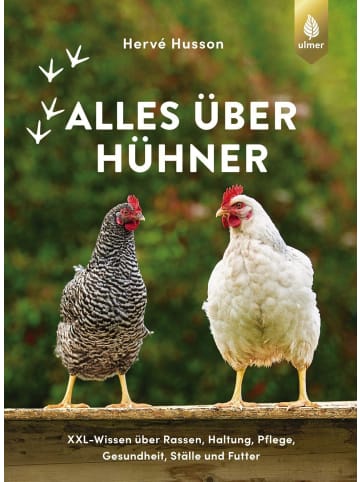 Ulmer Alles über Hühner