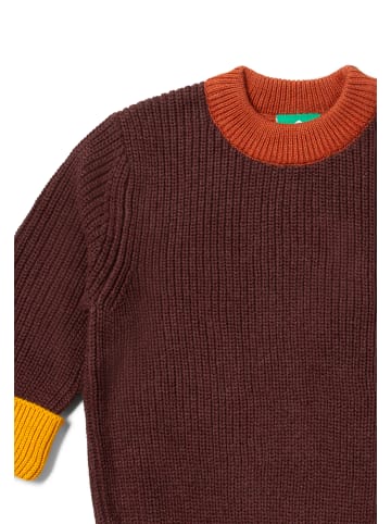 Little Green Radicals Bio-Strickpullover in Braun