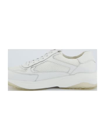 Paul Green Sportliche Schnürschuhe in Weiß