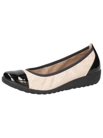 Caprice Ballerina in BEIGE COMB