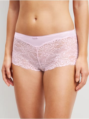Calida Panty in orchid rose