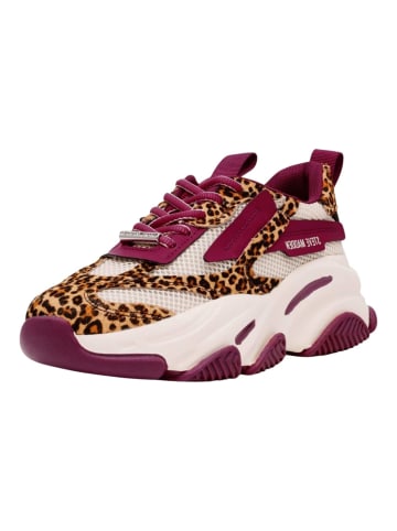Steve Madden Sneaker in Weiß/Lila