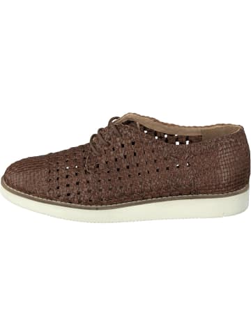 Allan K Sneaker für Damen in braun