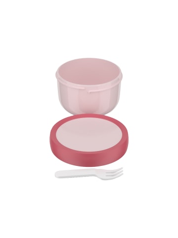 Mepal Fruchtbox Campus in 300 ml in Cool Pink