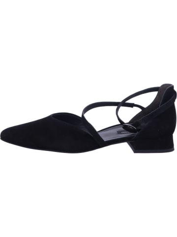 Paul Green Pumps in schwarz