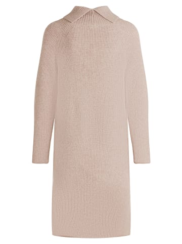 CARTOON Strickkleid mit Turtle Neck in Braun