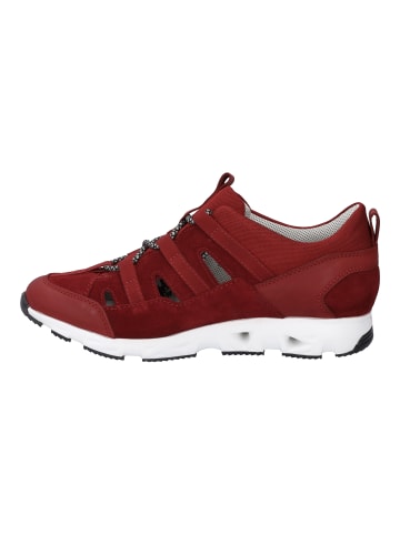 Josef Seibel Sneaker Noah in rot