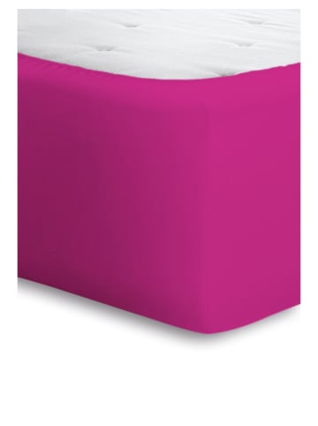 Bassetti Spannbettlaken Boxspring in fuchsia