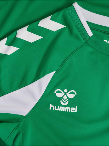 Hummel Kinder Longsleeve "Core 2.0 Jersey Longsleeve" in Grün