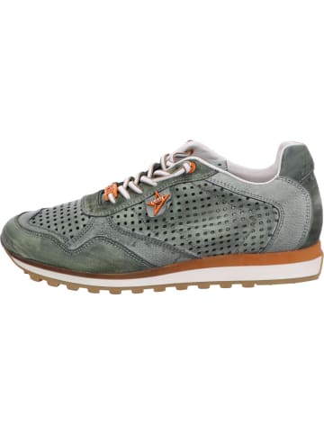 Cetti Sneaker in dunkelgrün