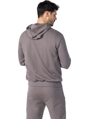 erima Hoodie in brushed nickel