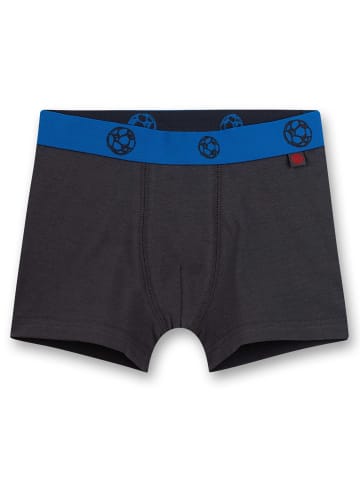 Sanetta Boxershort 2er Pack in Blau/Grau