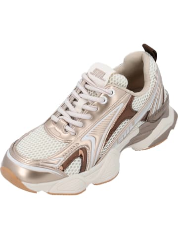Steve Madden Schnürschuhe in SILVER/GOLD CREAM