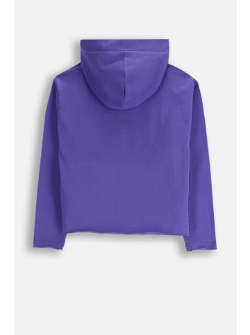 Coccodrillo Kapuzen-Sweatshirt in violett